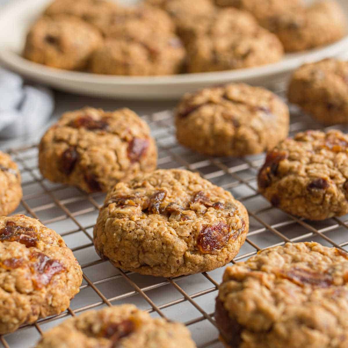 a shot of date oatmeal cookies on a cooling rack.