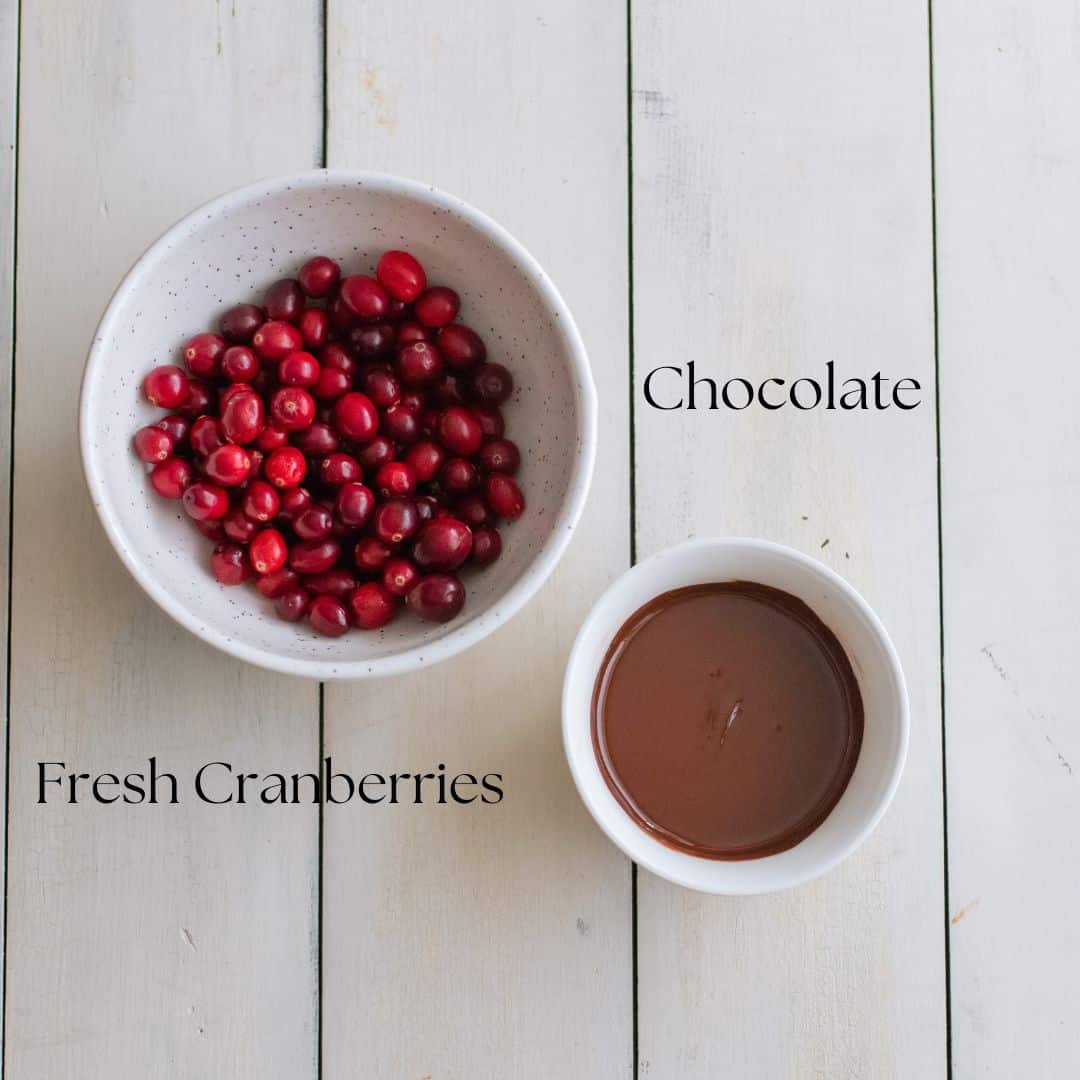 Ingredients for chocolate covered cranberries: choclate and fresh cranberries.