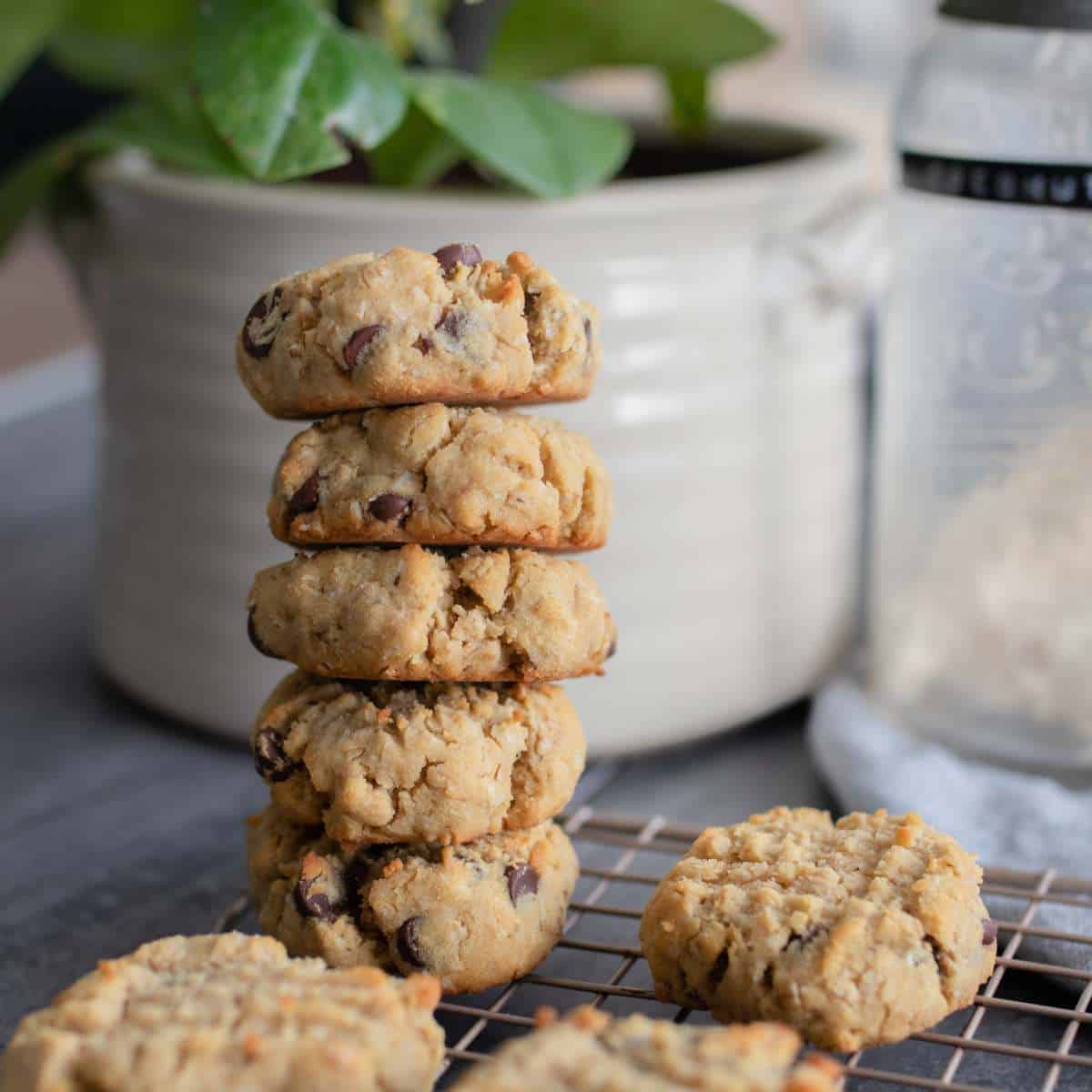 Coconut Flour Cookies stacked 5 high on a cooling rack with a potted plant in the background.