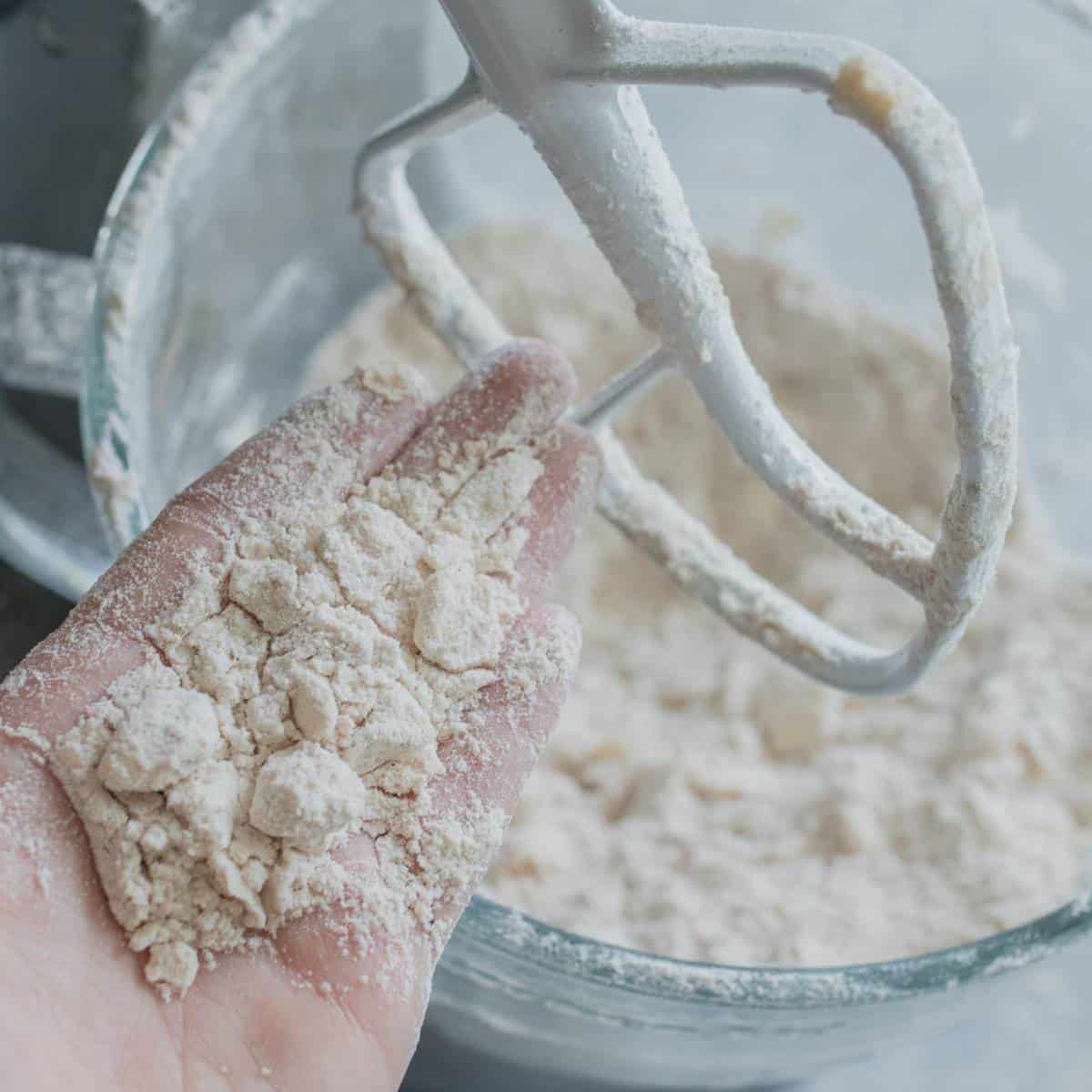 Hand with dough in it over an electric mixer to show consistency of dry ingredients mixed with butter.
