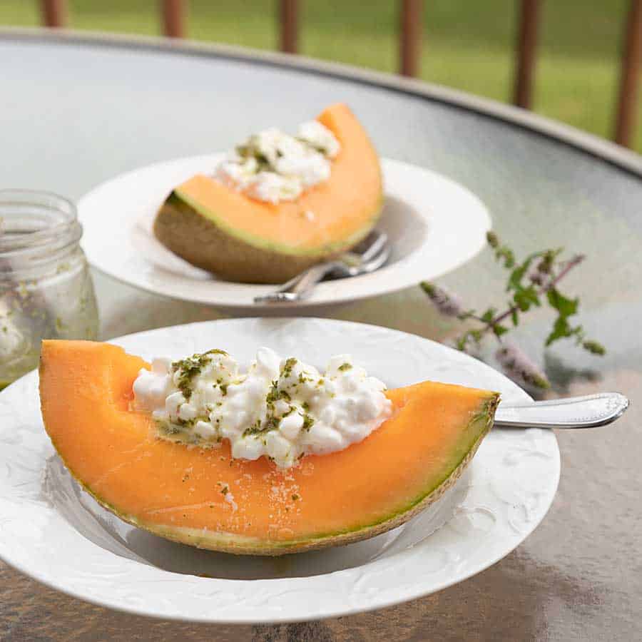 Cantaloupe with cottage cheese and mint cream on top and mint garnish.