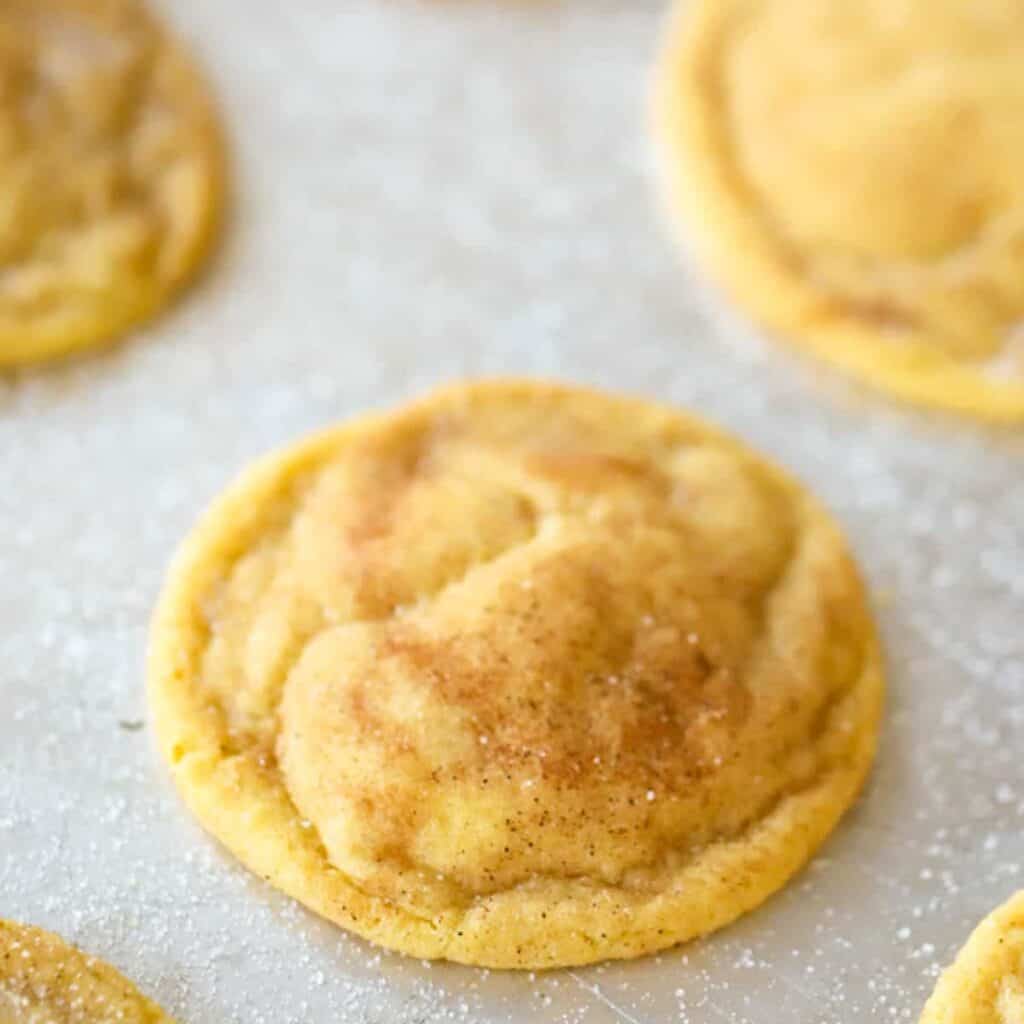 Close up of a snickerdoodle cookie with sugar sprinkled on top on a table full of cookies.