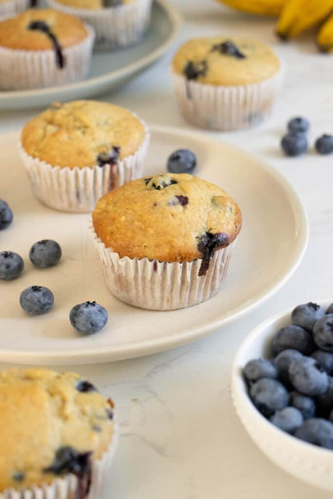 Two blueberry muffins on a cream colored plate with blueberries on it on a staged table with out plates full of muffins.